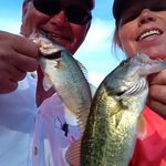 Becky Earl Pennington - @becky.e.pennington1 - Instagram