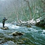 Earl Kent Pennington - @earl.pennington.735 - Instagram