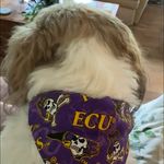 Earl Pennington - @earl.pennington - Instagram