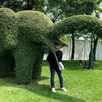 Earl Peralta - @earlperalta - Instagram