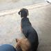 Earl Perkins Jr. - Facebook