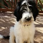 Terry Earl Perkins - @terryearlperkins - Instagram
