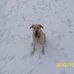 Earl Picard - Facebook