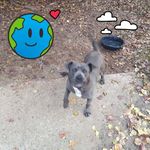 Earlene Pickett - @earlene.pickett - Instagram