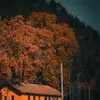 earlypierre710 - @earlypierre710 - TikTok