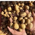Les Deux Pierre - @earllesdeuxpierre - Instagram