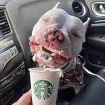 Earl Porter - @scuppernong - Instagram