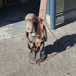 Earl Porter - @earl8826 - Instagram