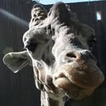 Alex Earl Posey - @alexearlposey - Instagram