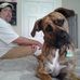 Earl Dewitt Powers - Facebook