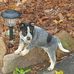 Earl Pye - Facebook