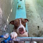 David Quintana - @earl.quintana.35 - Instagram