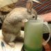 Earl Radke - Facebook
