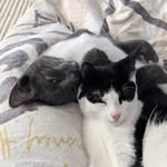 Earl and Ralph - @earlandralph - Instagram