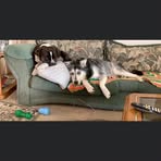 Earl Rau - Facebook