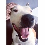 Earl Reddy - @earl_reddy - Instagram