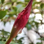 Earl Reddinger - @reddingerearl - Instagram