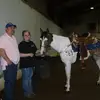 Earl reeves - @reeves1981 - TikTok