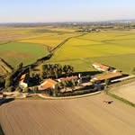 EARL DOMAINE DE REMOULE RIZ DE CAMARGUE IGP/HVE - @earldomainederemoule - Instagram