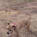 Earl Roberson - Facebook