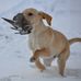 Earl Roberson - Facebook