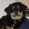 Earl Sands - @earl.sands - TikTok