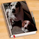 Earl Schell - @earlschell - Instagram