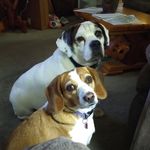 Earl Schell - @schellearle - Instagram