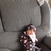 Earl Chiec - Facebook