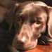 Earlynn Schubert - Facebook