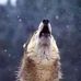 Earl Schuur - Facebook