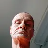 seelye - @earlseelye3 - TikTok