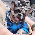 My name's EARL! - @earl_nitro_sell - Instagram