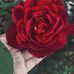 Earl Seldon - Facebook