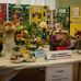 Age UK Leicester Shire &amp; Rutland - Earl Shilton Senior Citizens Centre - Facebook