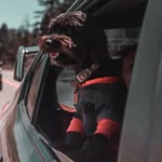 earl aka senior guapo - @earlfergusonking - Instagram