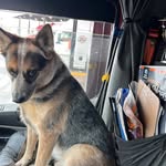 Earl C Shank - @earlshank - Instagram