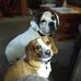 Earl Schell - Facebook