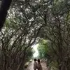 ShipPearL - @shippearl - TikTok