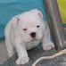 Earl Silver - Facebook