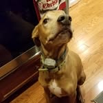 earl silver - @silverearl - Instagram