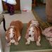 Earl Sisson - Facebook