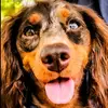 Earl Smith - @earl.smith918 - TikTok