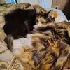 bemebeEarl Stump - @bemebeearl.stump - TikTok