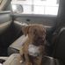 Earl Terrell - Facebook