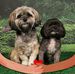 Earl Thornton - Facebook
