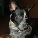 Earl Kipper Wagner - @wagnerearl - Instagram