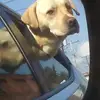 Earl Waldron - @earl.waldron - TikTok