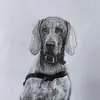 earlewilder - @earlewilder - TikTok
