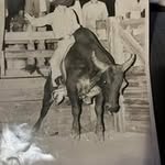 Earl Williamson - @earlwilliamson65 - Instagram